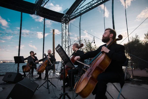 Violoncellica Коллектив — музыкант — Бюро Культуры