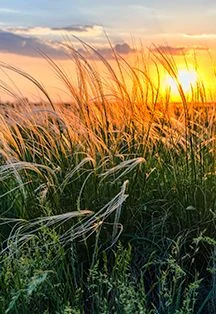 Археология Орска. Экскурсия — МАУК "Орский краеведческий музей" — афиша Санкт-Петербурга