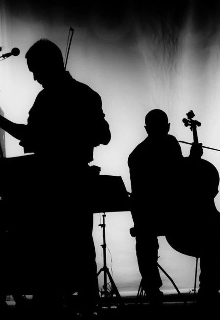 ATOMIC CELLOS. МИРОВЫЕ РОК-ХИТЫ НА ВИОЛОНЧЕЛЯХ ПРИ СВЕЧАХ В ОРАНЖЕРЕЕ — Оранжерея Таврического сада — афиша Санкт-Петербурга