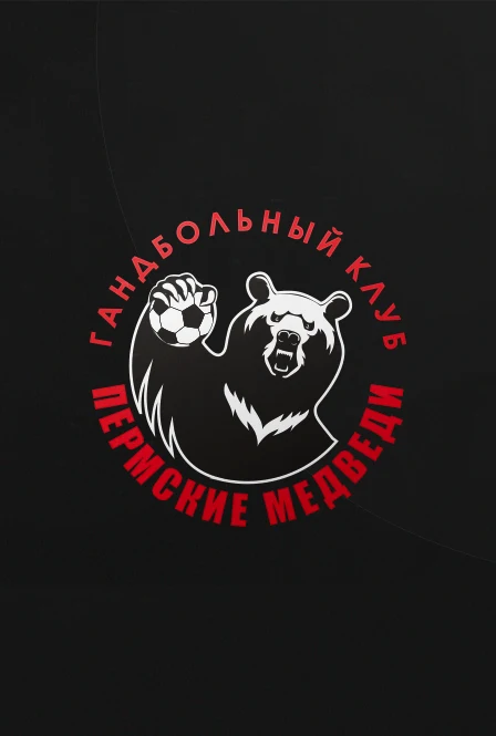 Чемпионат России по гандболу. СУПЕРЛИГА 26/27. Команды: Пермские Медведи (г. Пермь) - ВиктОр (г. Ставраполь) — СК им. Сухарева — афиша Санкт-Петербурга