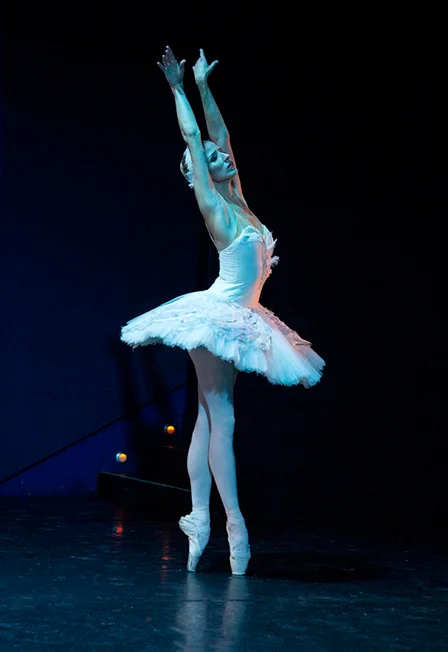 BalletGala. Гала-Балет — Театр им. Н.И. Сац — афиша Санкт-Петербурга