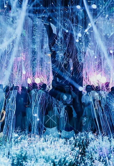 Evolution: Prime Era — Выставочный центр Futurione — афиша Санкт-Петербурга