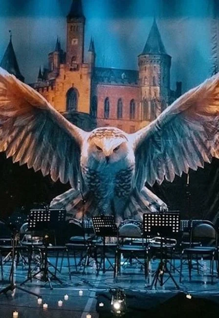 Harry Potter. Magic Music — Московский международный Дом музыки (ММДМ) — афиша Санкт-Петербурга