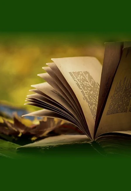 Литературное приключение «Тайны забытых книг» — Свердловская областная межнациональная библиотека — афиша Санкт-Петербурга