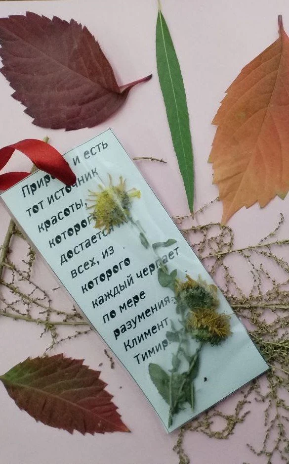 Мастер-класс по изготовлению закладки-гербария: Остановись, мгновение — Библиотека им.М.Горького — афиша Санкт-Петербурга