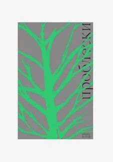 Обсуждаем книгу «Проблески», Айрис Вольф — Центр современной культуры «Рельсы» — афиша Тверь