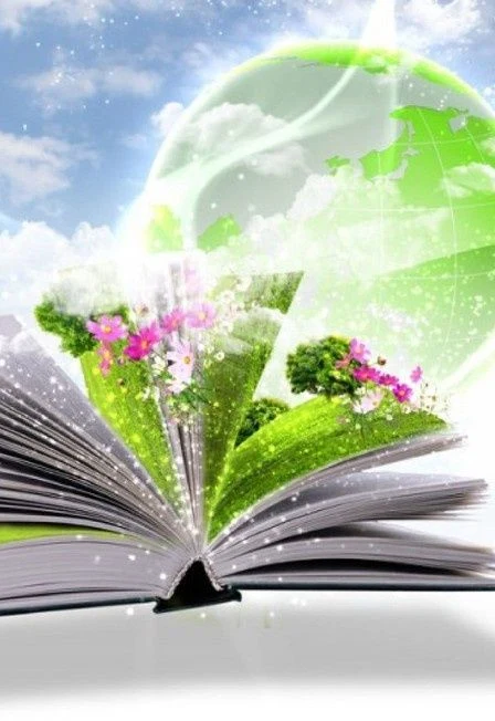 Открываю книгу – открываю мир. Интеллектуальная игра — Межпоселенческая центральная библиотека Зимовниковского района — афиша