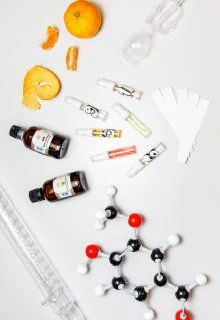 Планета вкусов — Парк «Зарядье» — афиша Санкт-Петербурга
