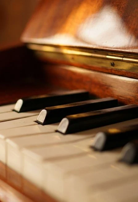 Пока мы вместе - мы непобедимы! — Музыкальный театр "Премьера" — афиша Санкт-Петербурга