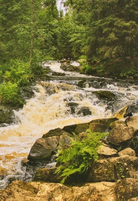 Природа Карелии: четыре водопада и круиз на ладье по Ладожским шхерам — Казанская пл. — афиша Санкт-Петербурга