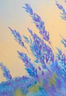 Свет и тень. Мастер-класс по графике — Тверской областной дом народного творчества — афиша Санкт-Петербурга