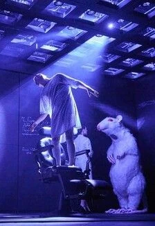 Цветы для Элджернона — НГДТ Старый дом — афиша Санкт-Петербурга