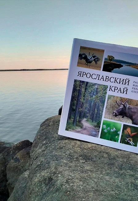 Заповедные места Ярославского края. Краеведческое путешествие — Библиотека-филиал №3 г. Рыбинск — афиша Санкт-Петербурга