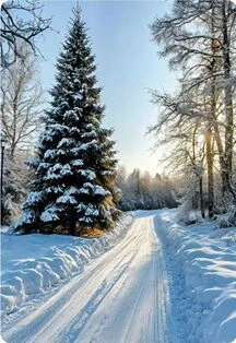 Зимний пейзаж. Мастер-класс — Централизованная клубная система г.Орск — афиша Санкт-Петербурга