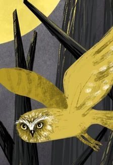 Зверский детектив — Молодежный театр Алтая им. В.С. Золотухина — афиша Санкт-Петербурга