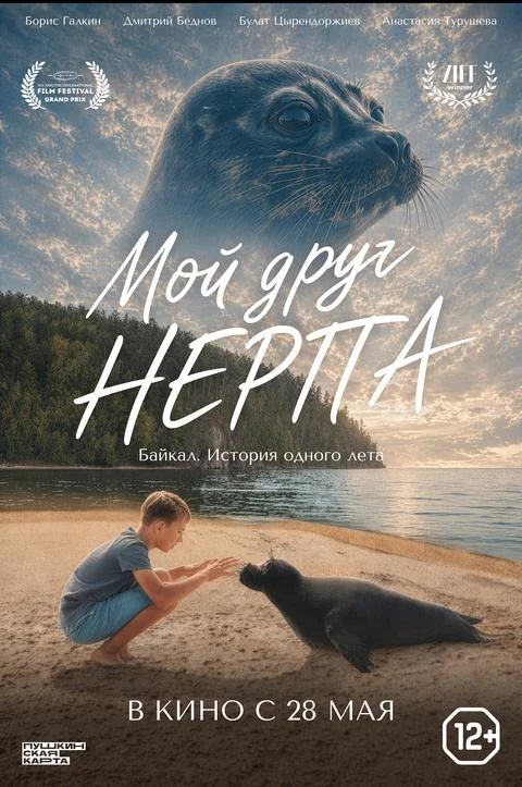 Мой друг нерпа