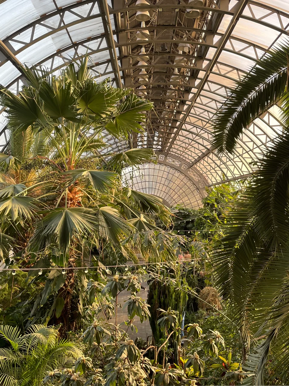 Оранжерея Таврического сада — музей в Санкт-Петербурге, метро Чернышевская