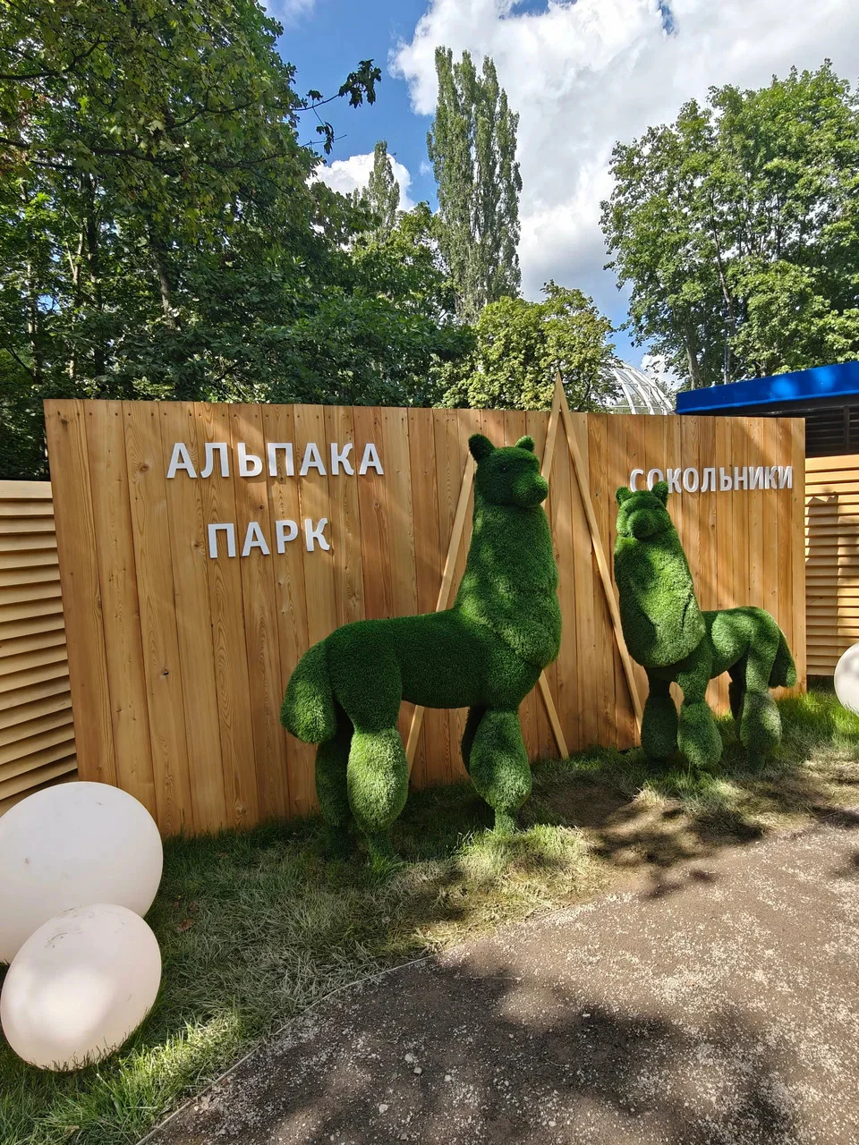 Альпака Парк Сокольники