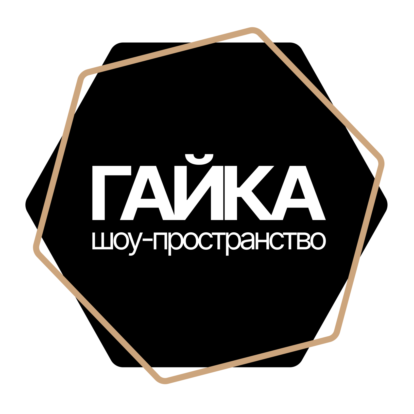 Логотип Шоу-пространство «Гайка»