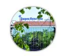 Логотип Дворец культуры КИНЕФ
